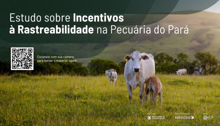 Rastreabilidade avança no Brasil e estudo indica caminhos para ampliar sua adoção de forma inclusiva