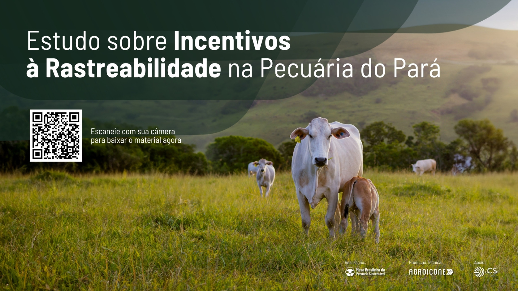 Rastreabilidade avança no Brasil e estudo indica caminhos para ampliar sua adoção de forma inclusiva