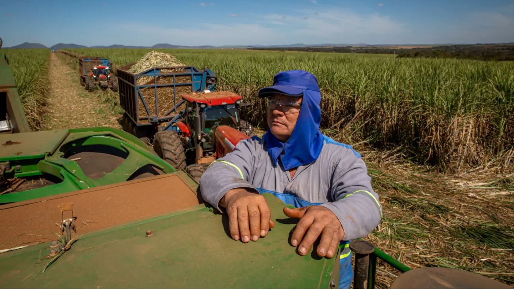 trabalhador rural - tratorista - colhnedo cana de acucar