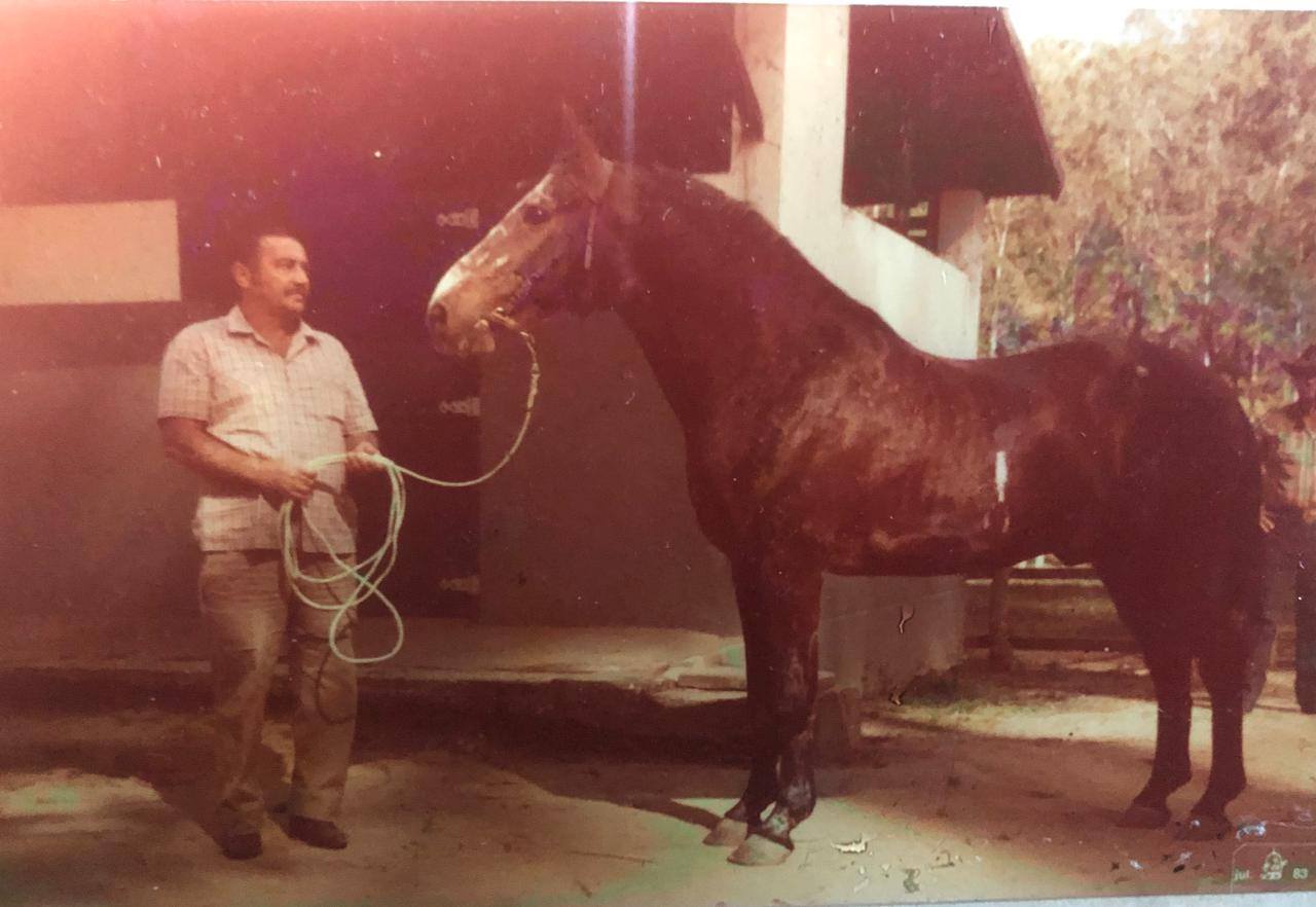 DNA de uma lenda: por que Herdade Cadillac ainda dita o padrão da raça Mangalarga Marchador