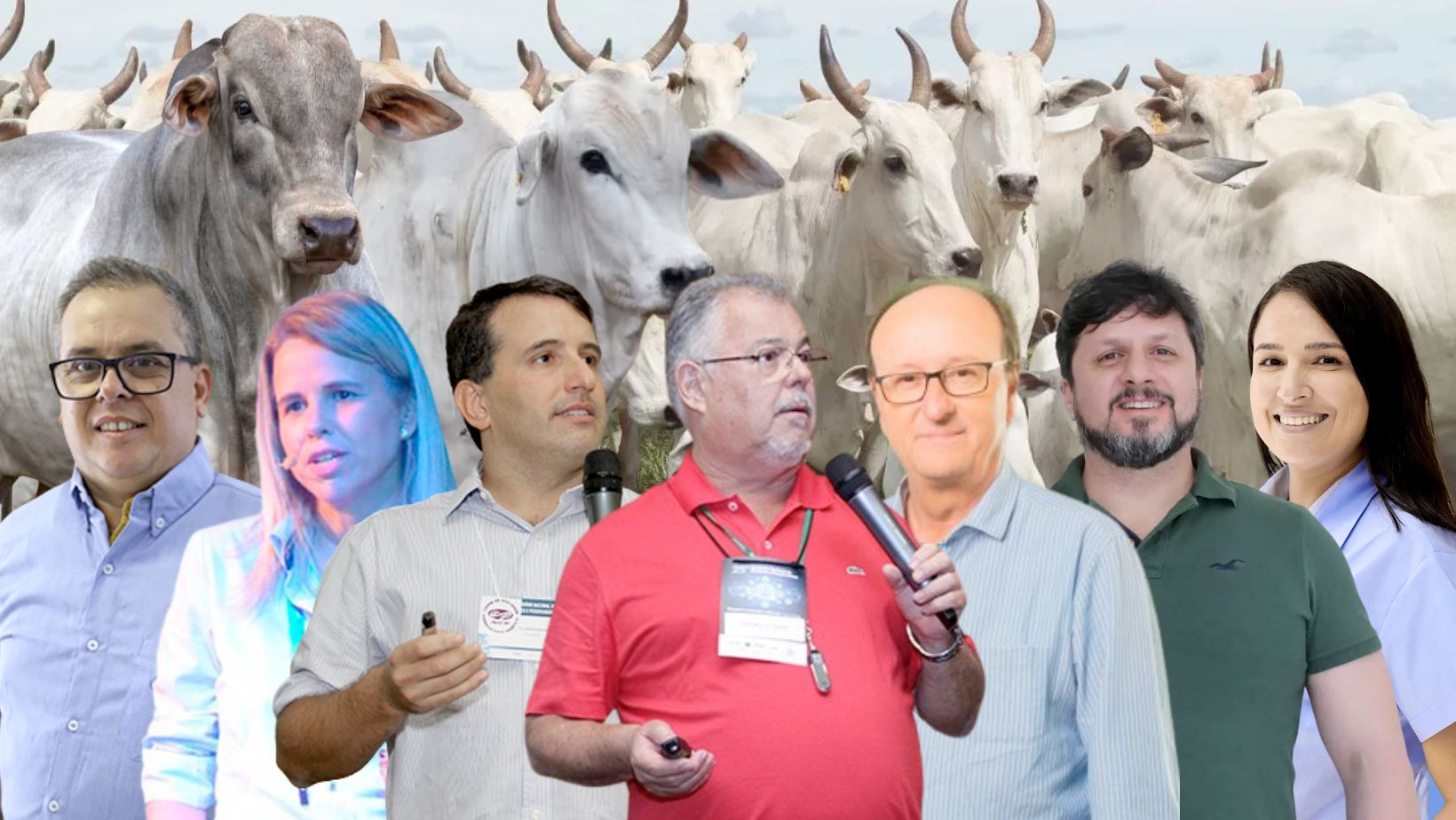 GMA programa de melhoramento genetico animal da USP