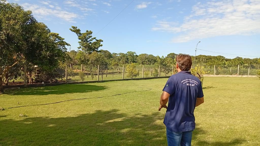 Gripe aviaria volta a acender alerta em Mato Grosso fragilidade sanitaria