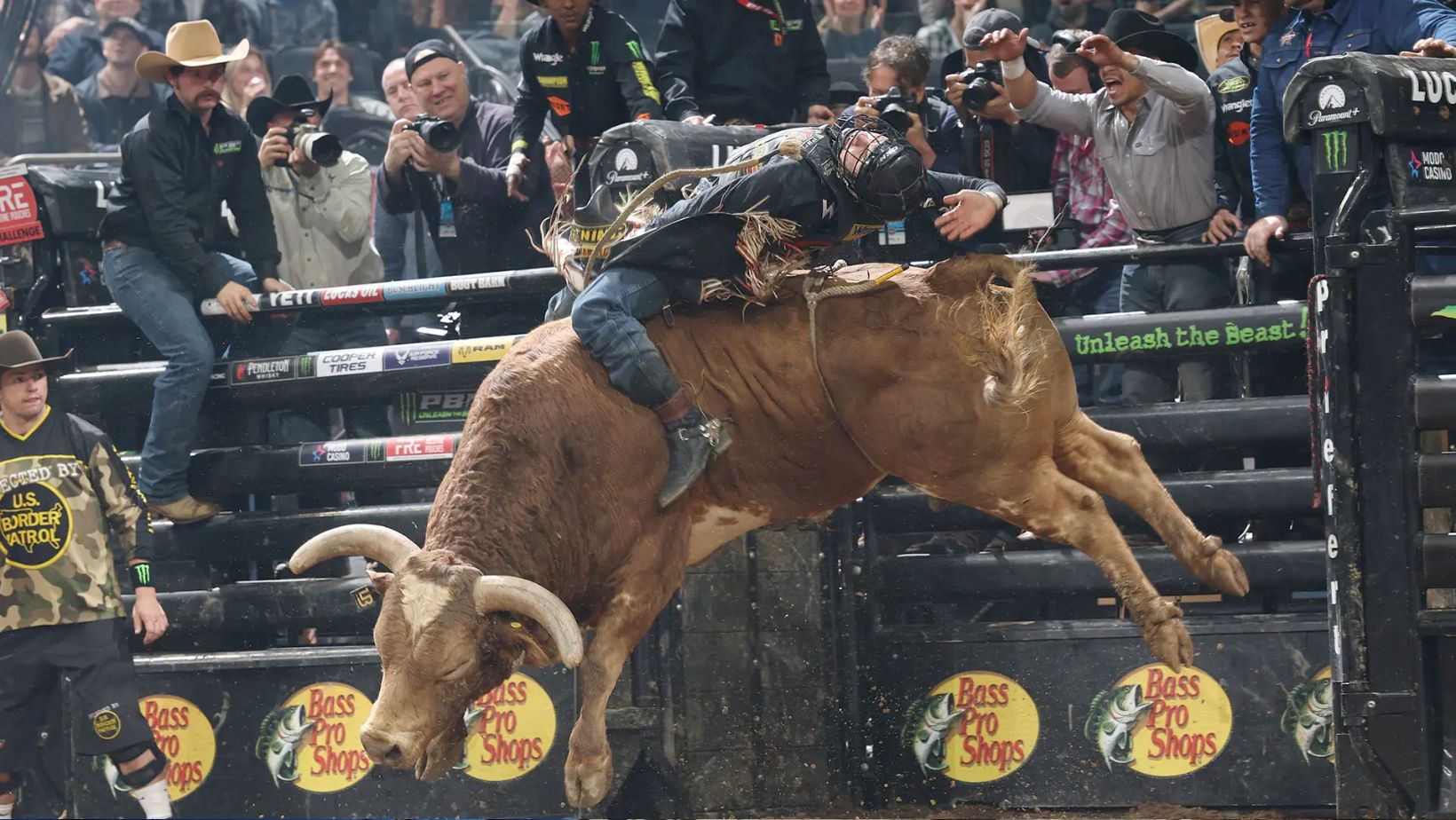 Leandro Zampollo - Bull Stock Media