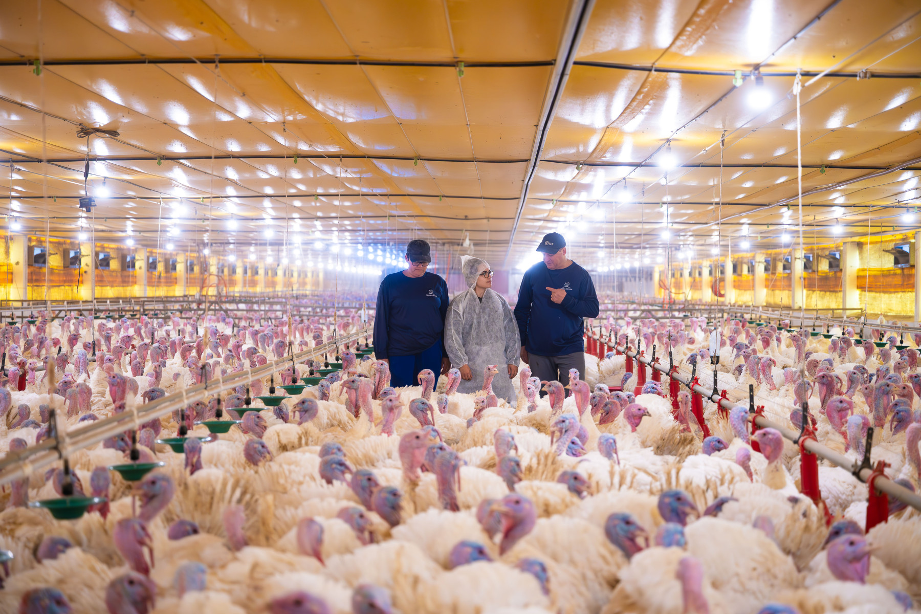 Em seu primeiro ano, MBRF integra Índice Carbono Eficiente da B3 (ICO2 B3)