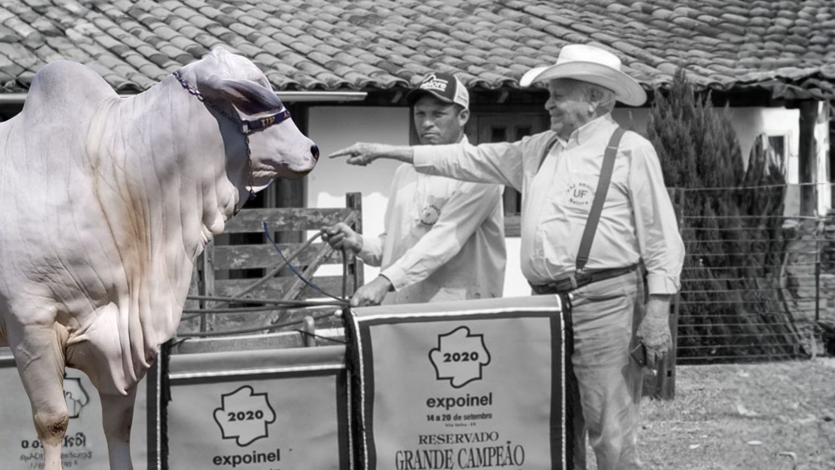 Udelson Nunes Franco