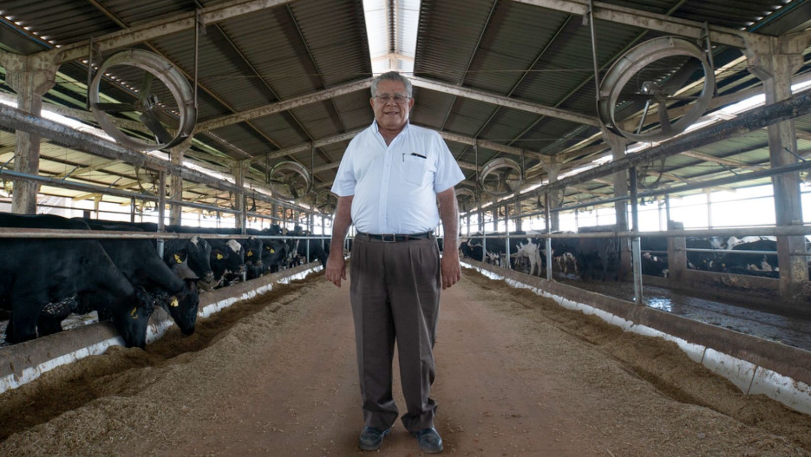 Xapetuba Agropecuaria - Jose Antonio da Silveira