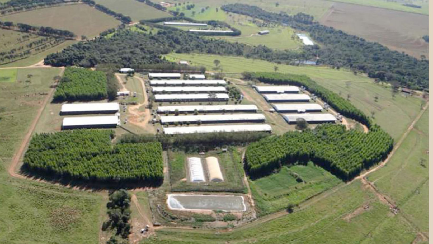 Xapetuba Agropecuaria