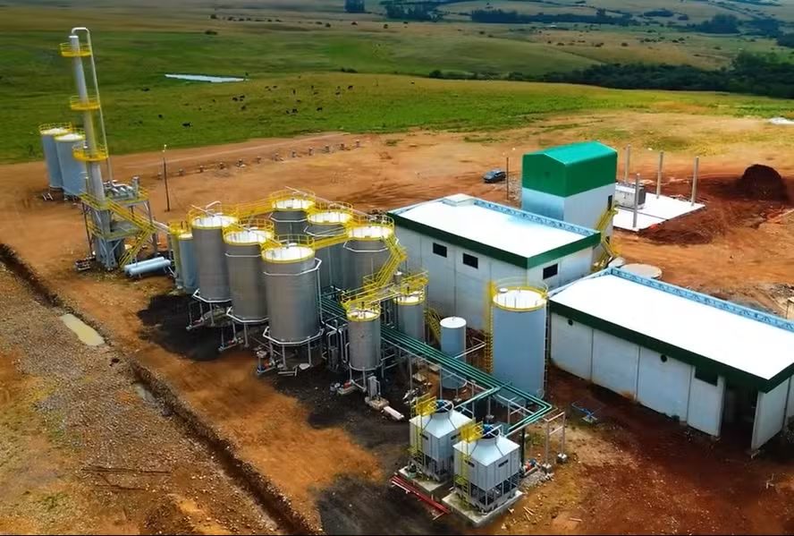 ANP autoriza início de operação da primeira usina de etanol de trigo do Brasil