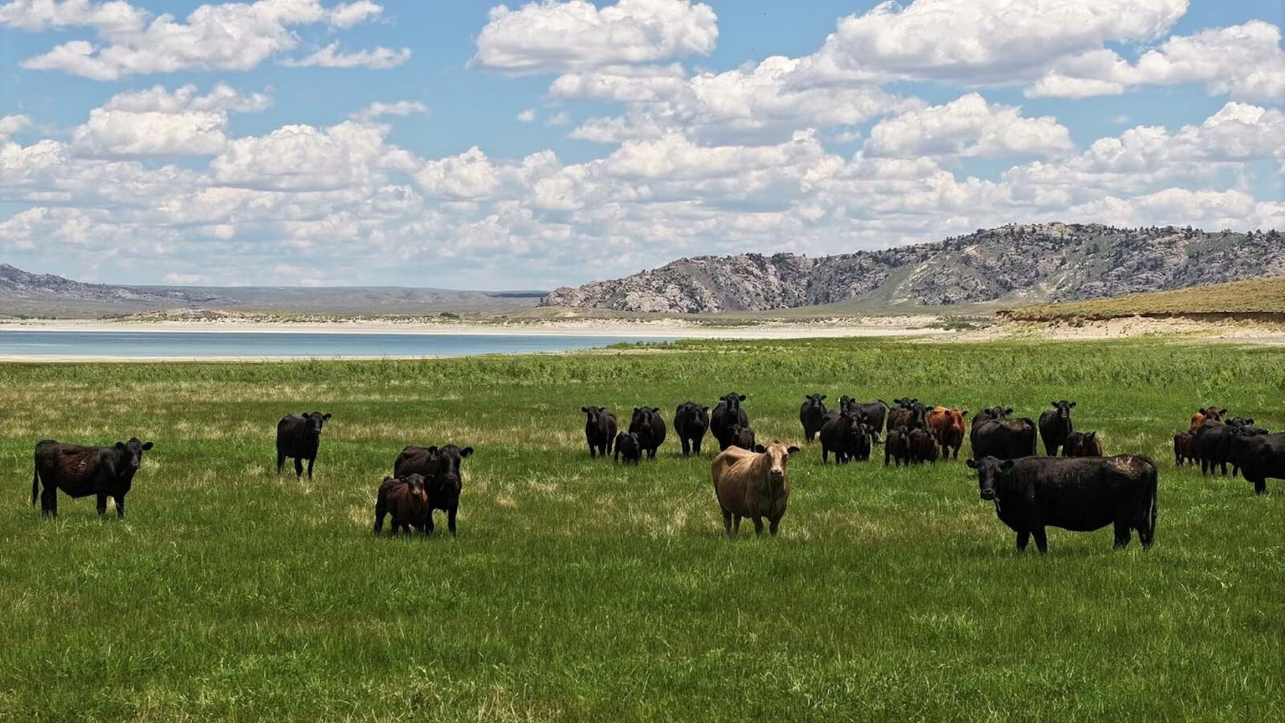 Bilionário compra por R$ 440 milhões fazenda quatro vezes maior que a cidade de São Paulo