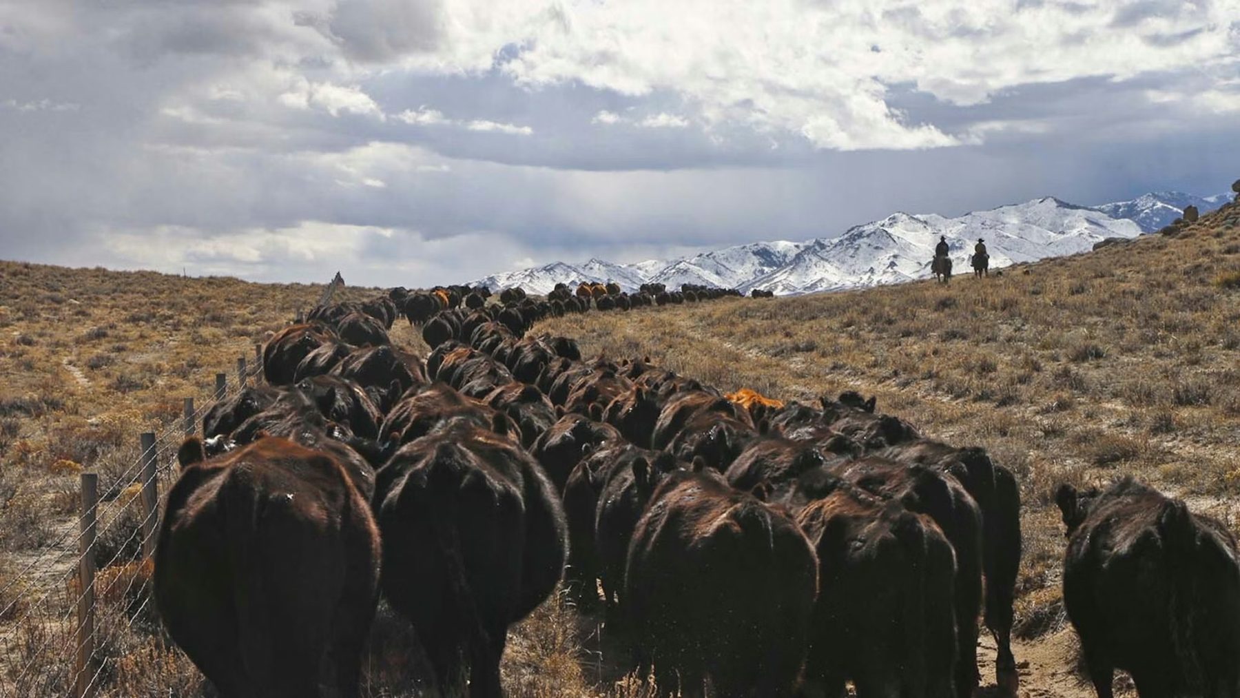 Bilionário compra por R$ 440 milhões fazenda quatro vezes maior que a cidade de São Paulo