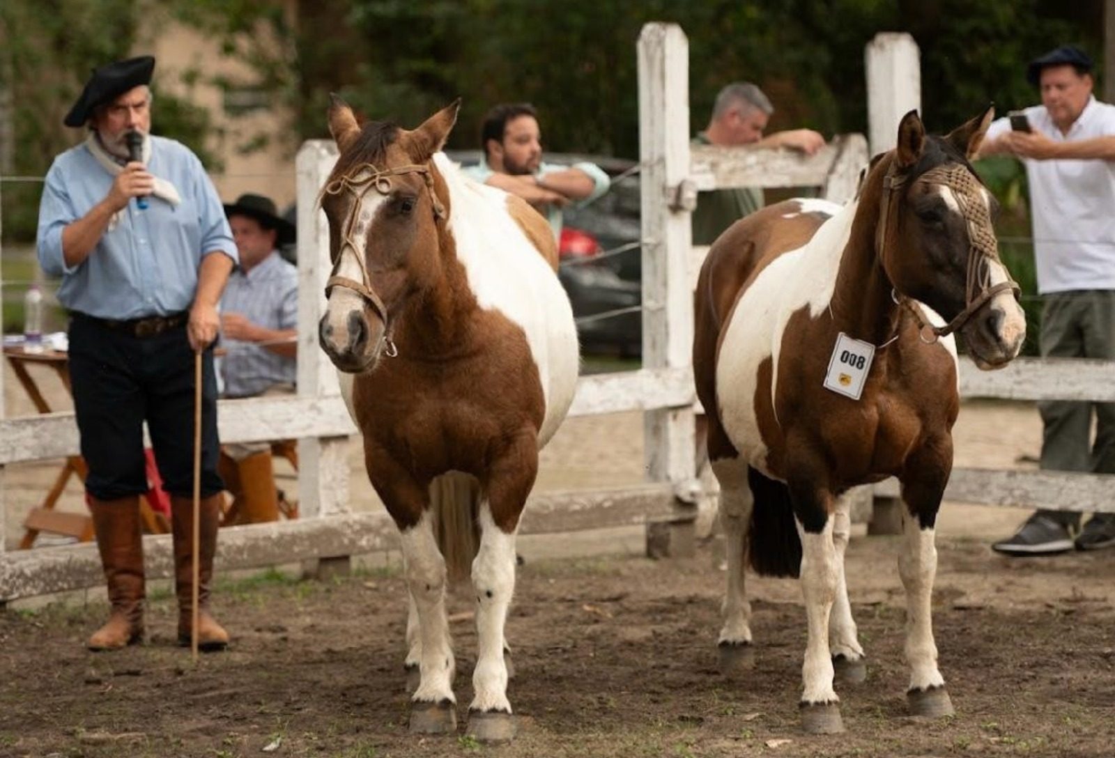 Jurado do Mancha Crioula já foi premiado na exposição