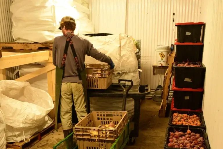 Conheça o agricultor que desafiou o frio de -40°C para revolucionar o armazenamento de alimentos