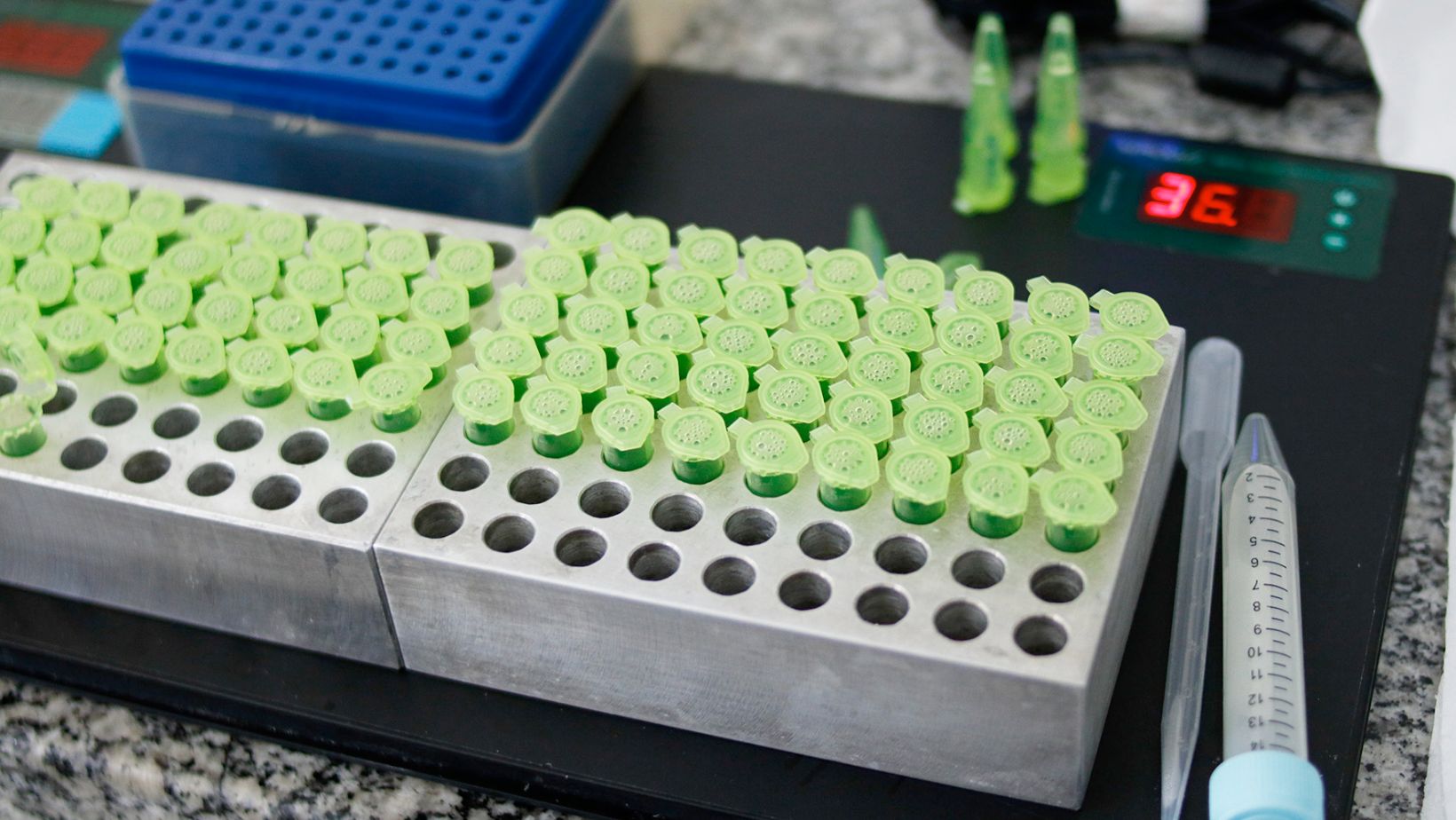 papel da fertilidade na Insemincao Artificial