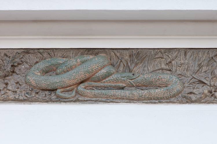 predio biblioteca butantan