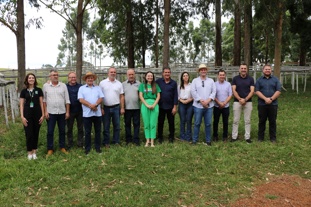 Extremo oeste lança projeto integrado para fortalecer a cadeia de ovinos e caprinos