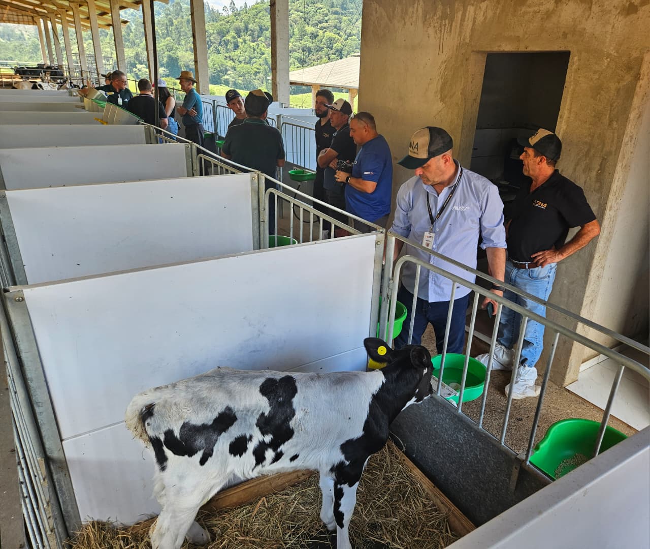 Gestão, genética e manejo elevam produtividade e renda na bovinocultura de leite