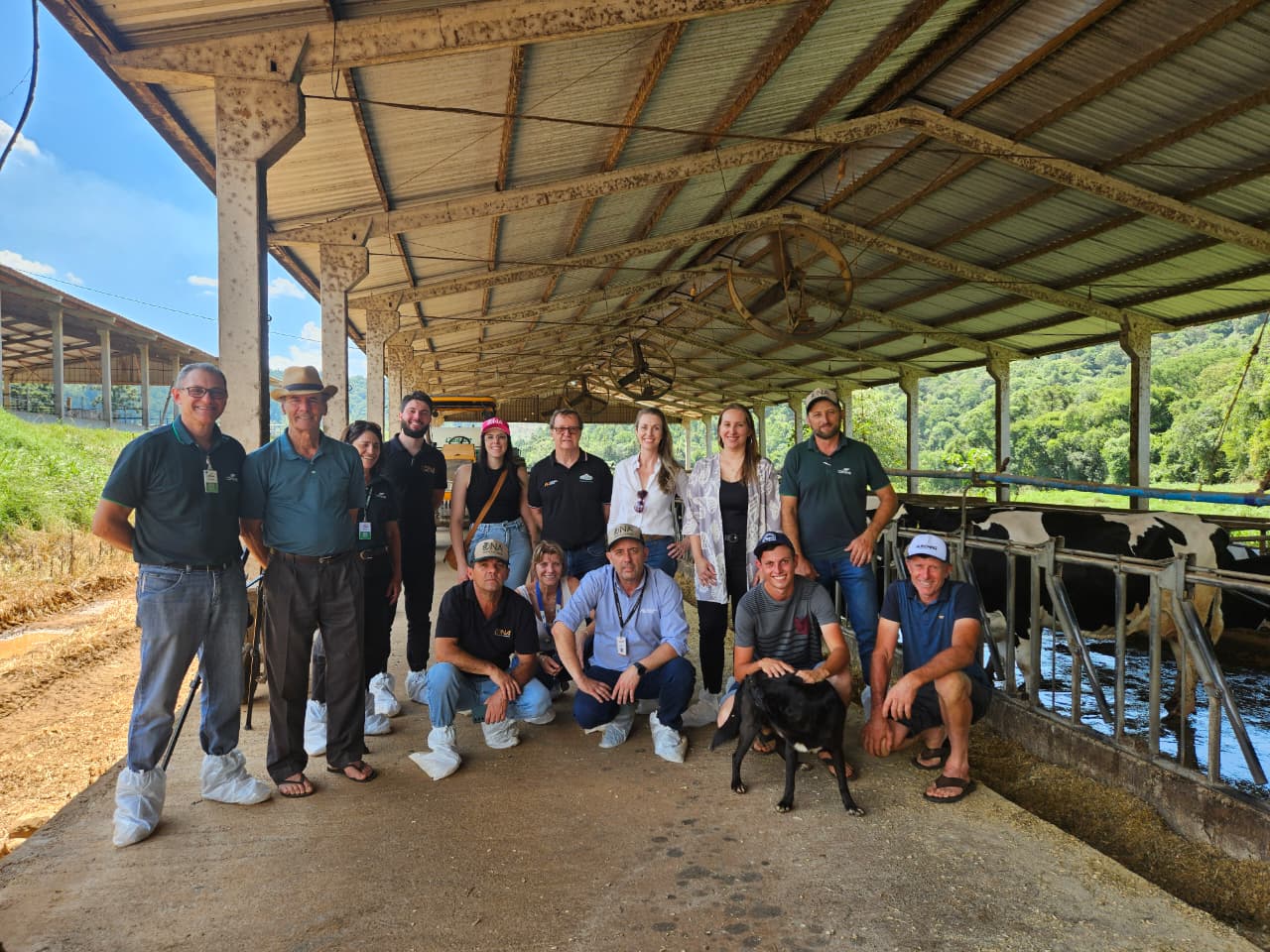 Gestão, genética e manejo elevam produtividade e renda na bovinocultura de leite