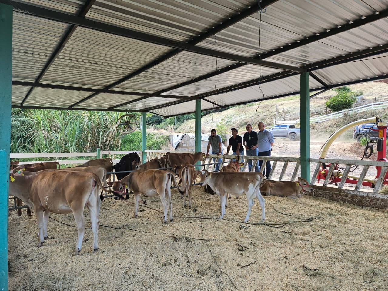 Gestão, genética e manejo elevam produtividade e renda na bovinocultura de leite