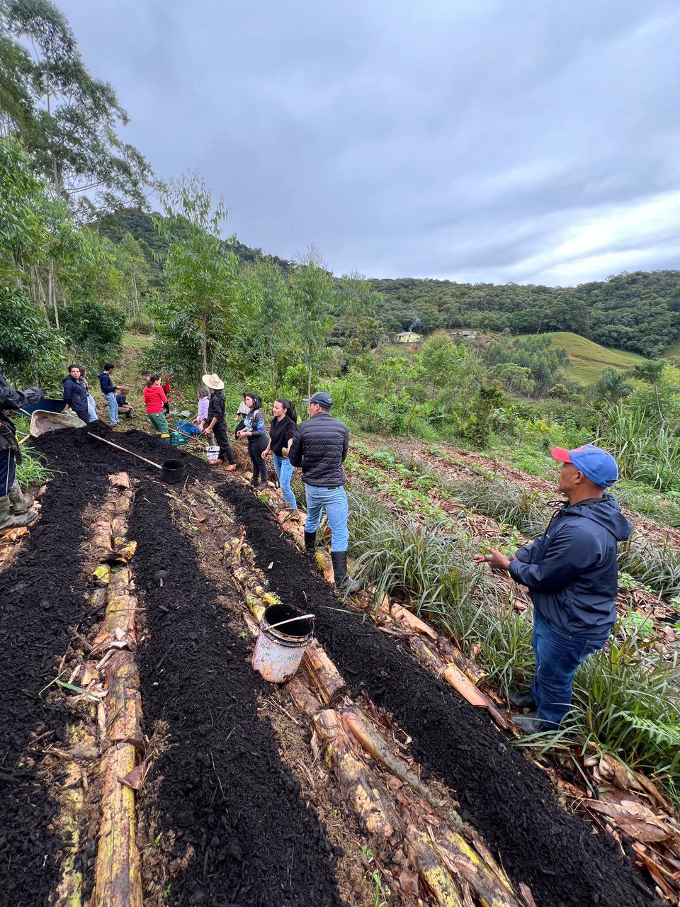 Projeto desenvolvido pela CERTI recupera mata atlântica em SC com plantio de araucárias