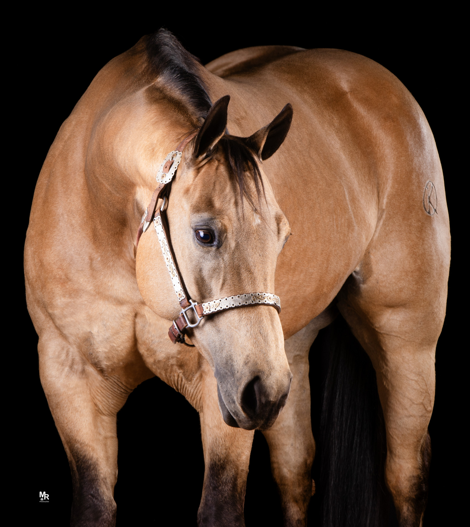 Probably Hot Dual 4.jpg