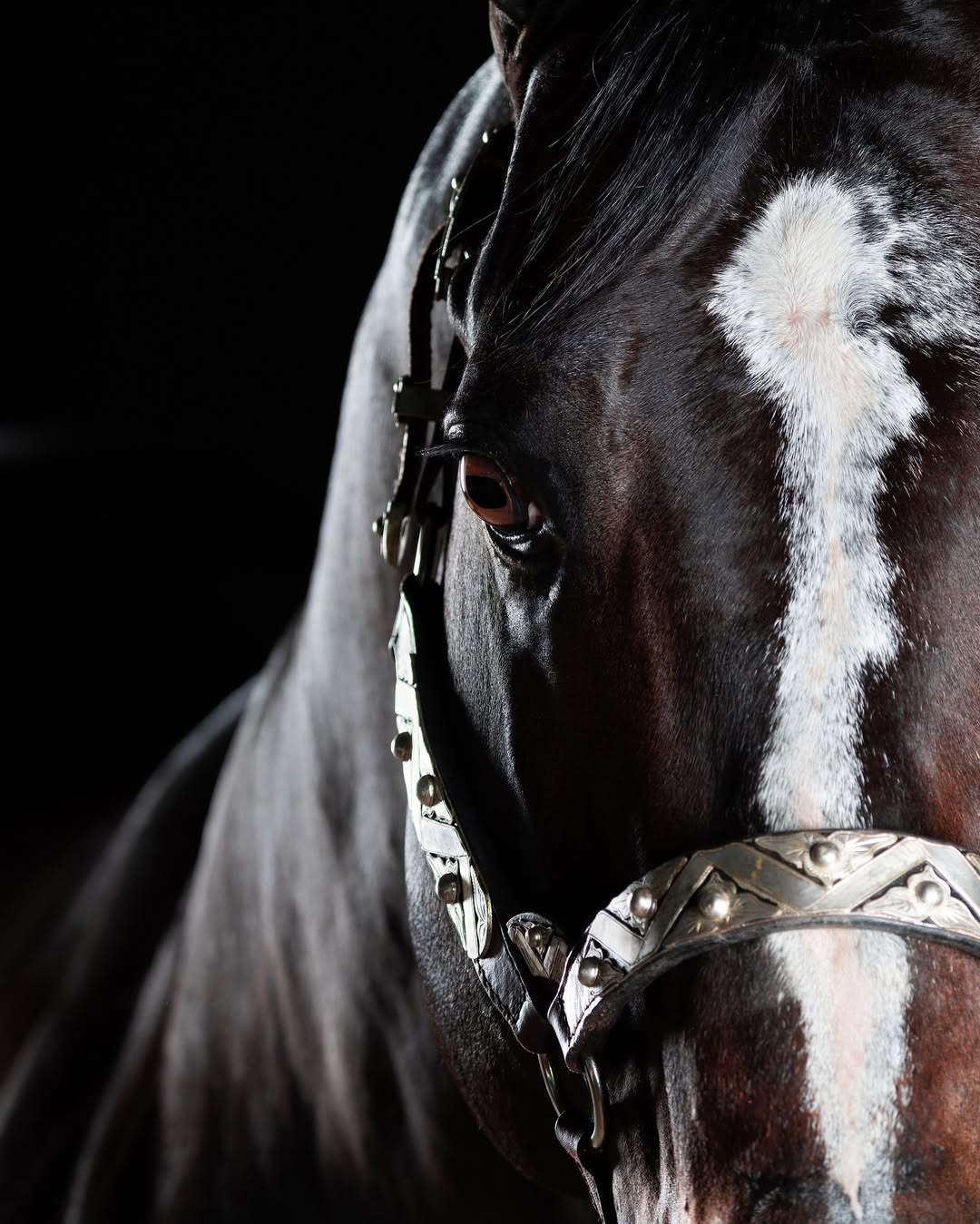 Diego Steel faz história e conquista o 4º título de Melhor Produtor da Vaquejada