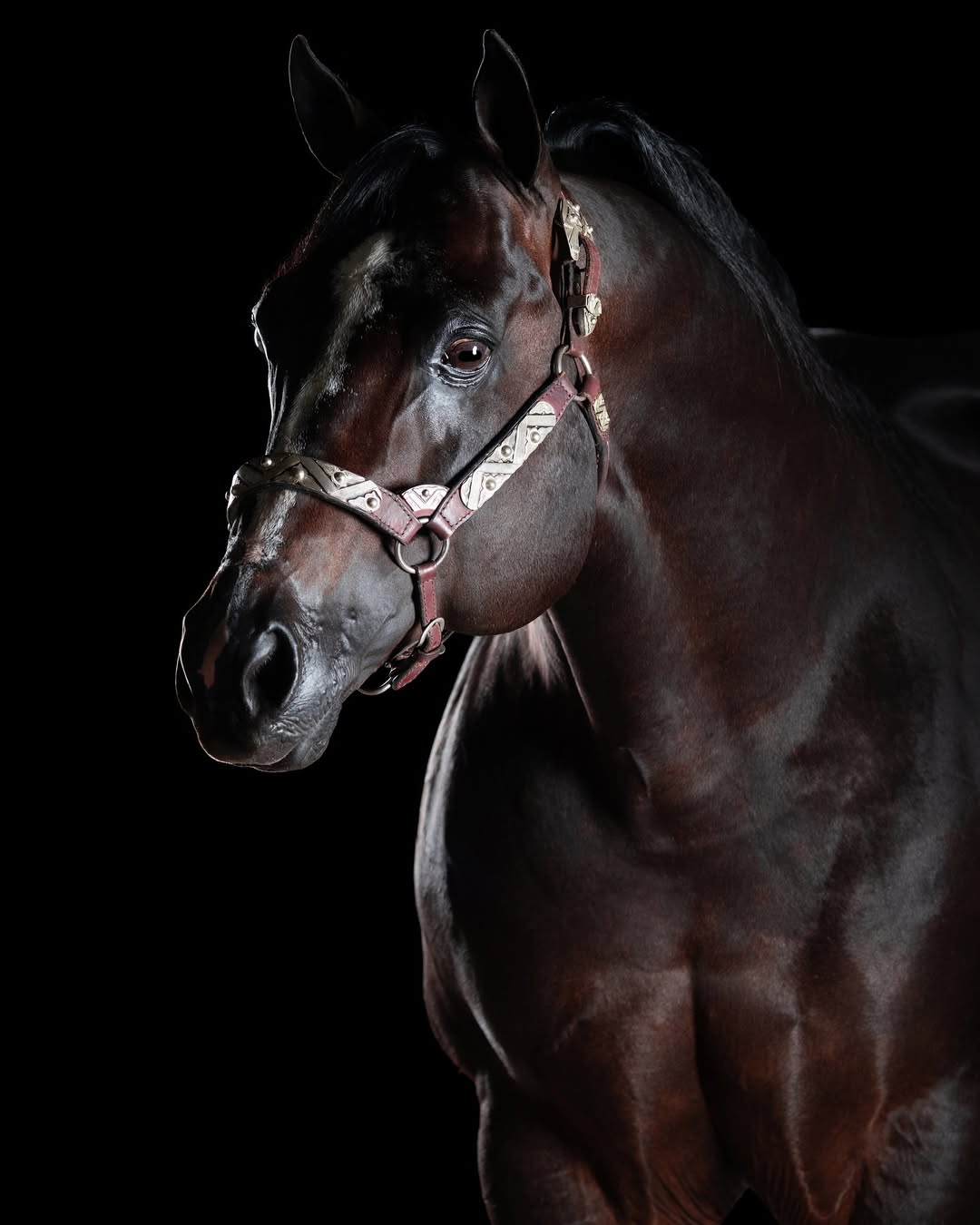 Diego Steel faz história e conquista o 4º título de Melhor Produtor da Vaquejada