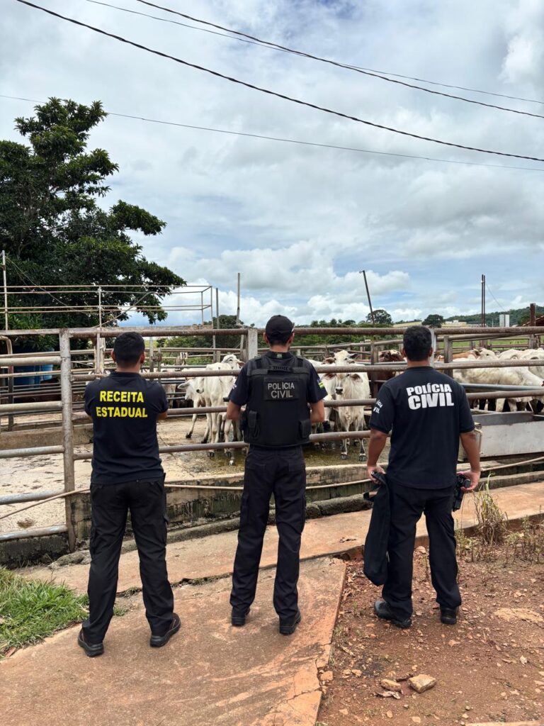 Operação investiga esquema de R$ 190 milhões em sonegação no setor de carnes