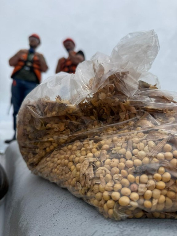 Mapa realiza visita no Amazonas para avaliação de procedimentos de certificação de exportação de grãos