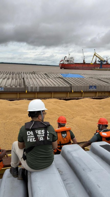 Mapa realiza visita no Amazonas para avaliação de procedimentos de certificação de exportação de grãos