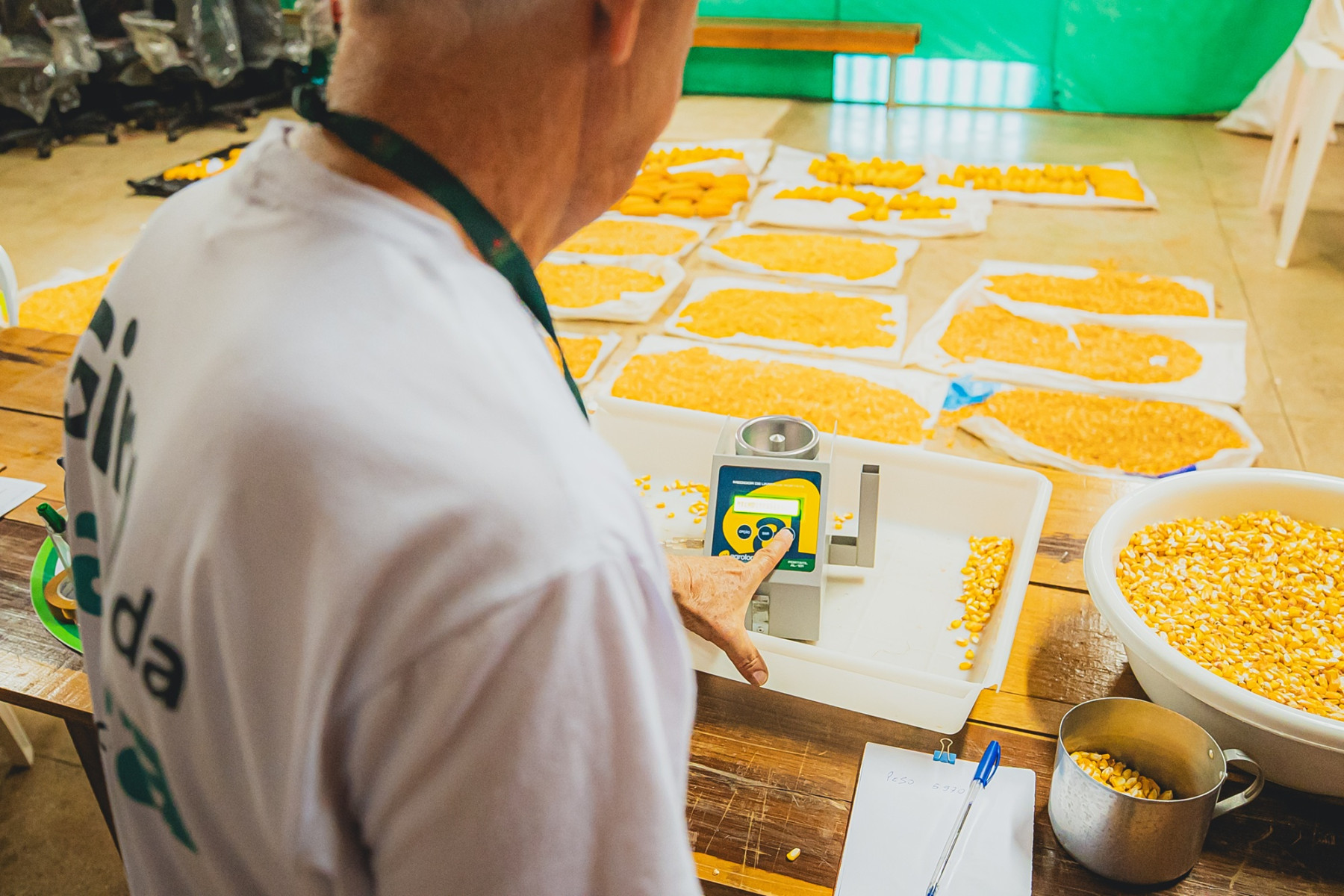 Giro da Safra aponta que Extremo-Oeste deve colher mais de 200 sacas de milho por hectare