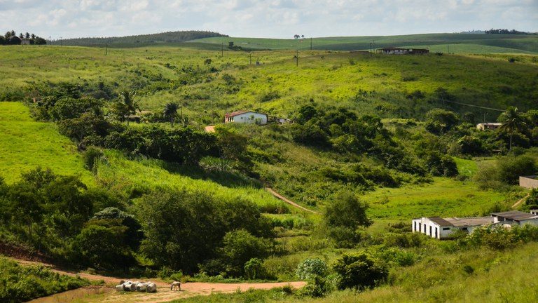 Justiça suspende venda de terra marcada por conflitos fundiários em Pernambuco