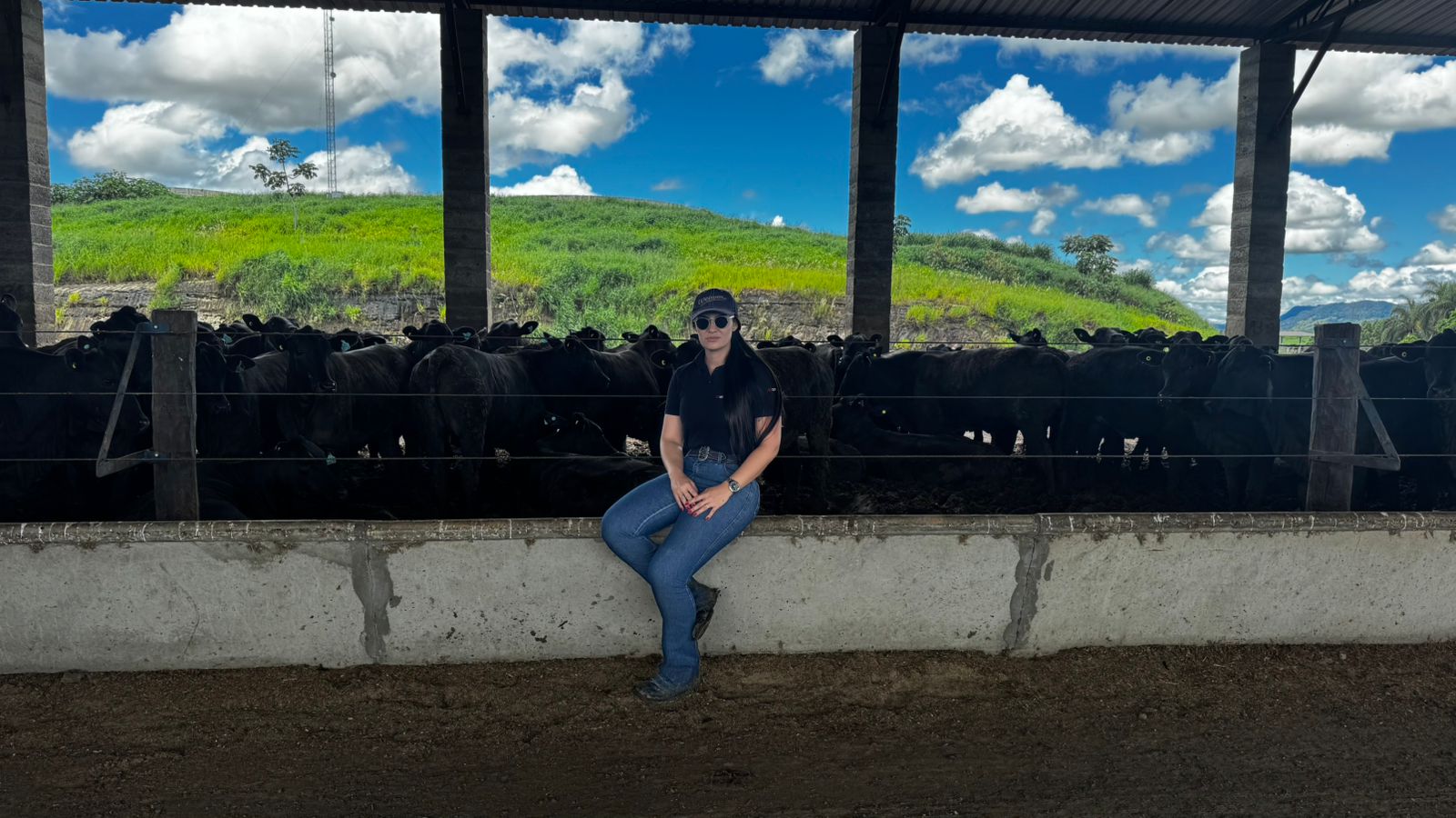 pamela confinamento bovino