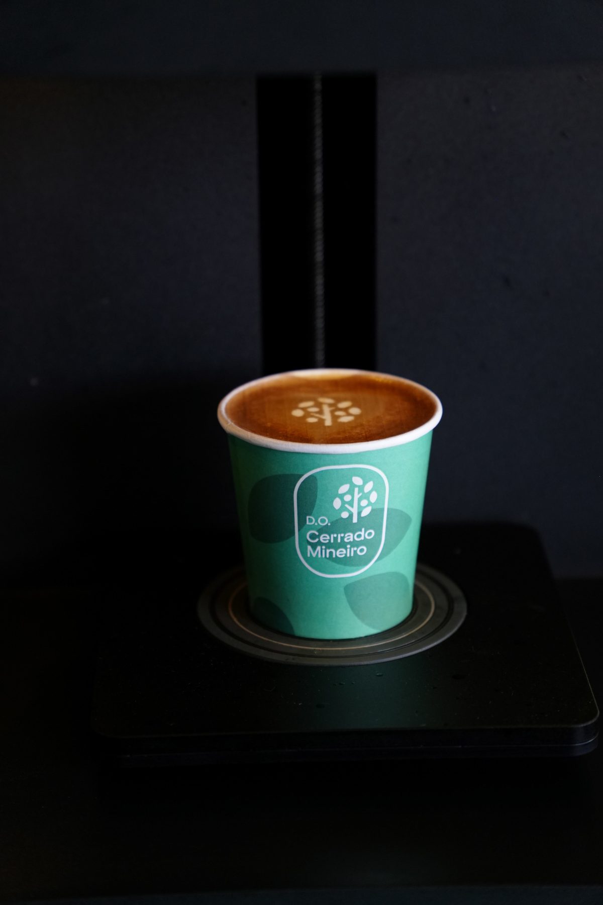 Região do Cerrado Mineiro anuncia seu reposicionamento como marca territorial: de origem produtora a movimento regenerativo global