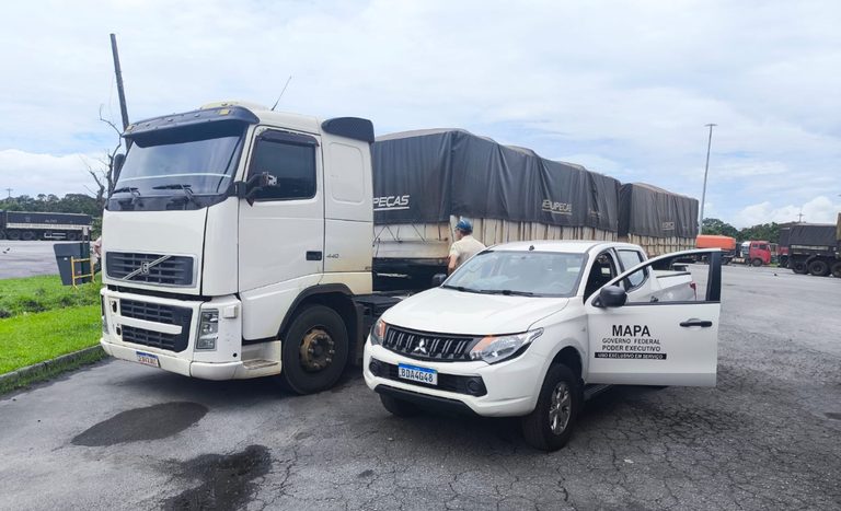 Mapa identifica fraude em carga de soja destinada à exportação no Porto de Paranaguá