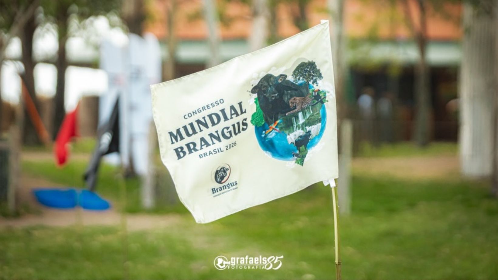 Congresso Mundial da raca Brangus - bandeira