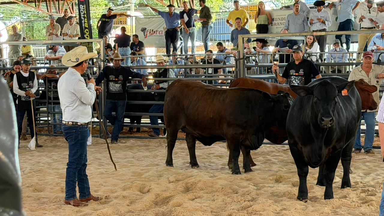 Congresso Mundial do Brangus Foto - Carolina Jardine