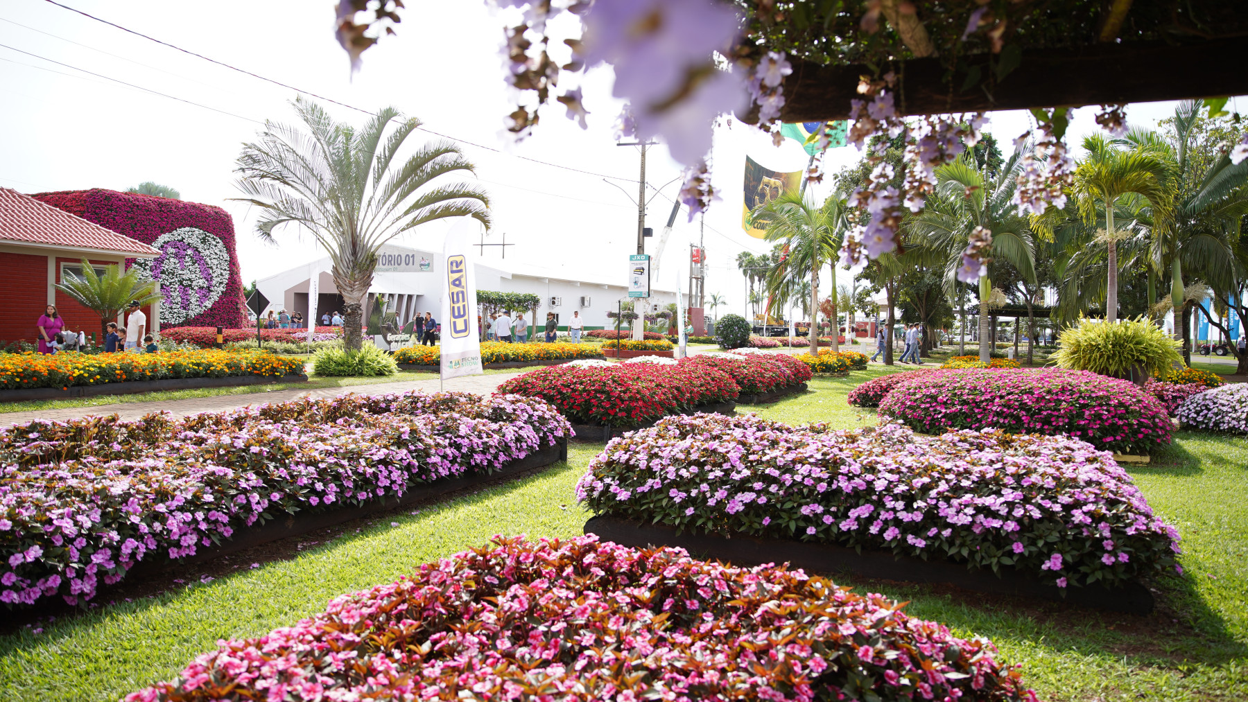 Tecnoshow COMIGO valoriza meio ambiente do paisagismo à gestão de resíduos e práticas sustentáveis