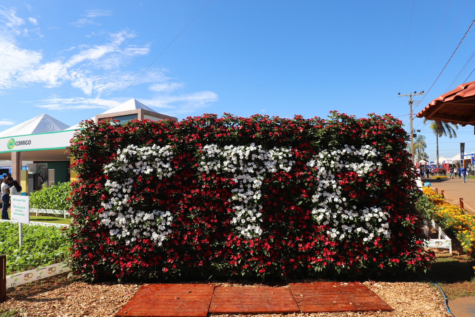 Tecnoshow COMIGO valoriza meio ambiente do paisagismo à gestão de resíduos e práticas sustentáveis