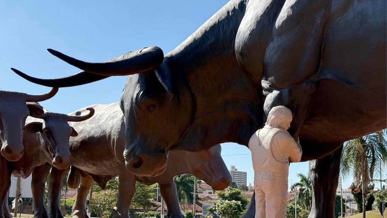 Monumento da cancao Boi Soberano