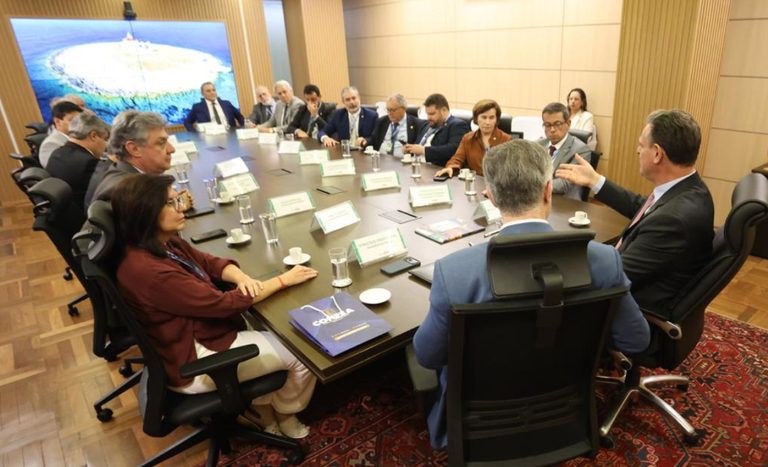 Mapa e Confea firmam acordo para fortalecer a sanidade agropecuária