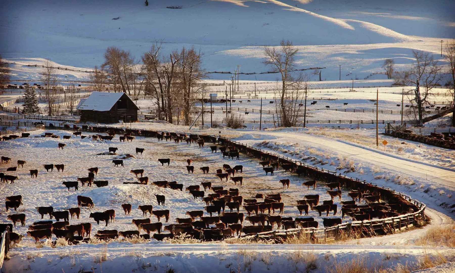 maior dono de terras