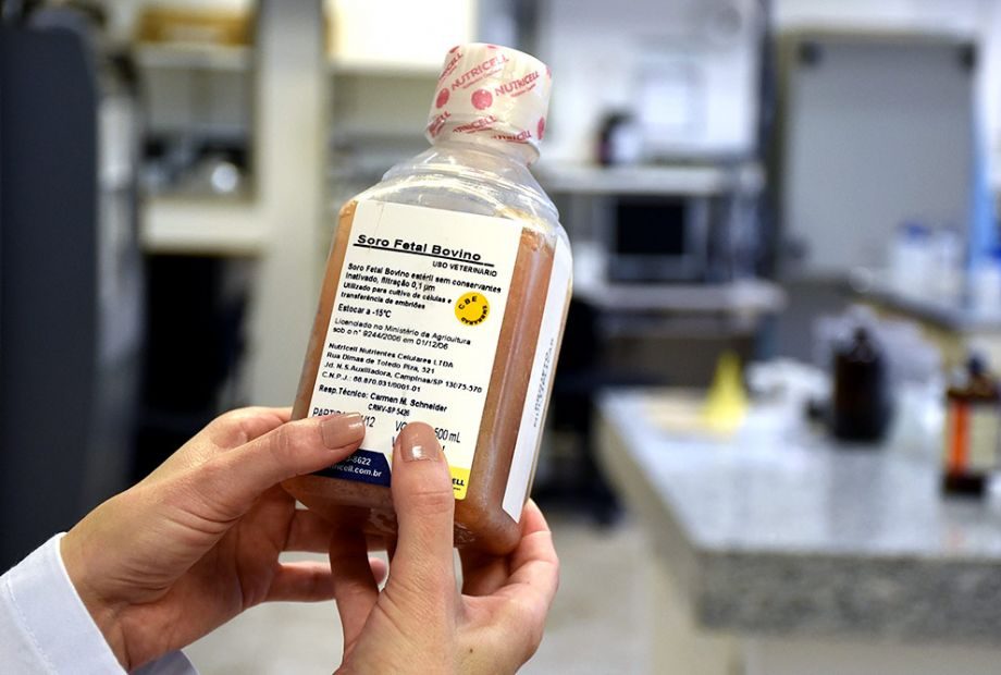 Mina de ouro: Por que o setor farmacêutico fatura bilhões com o que o pecuarista joga fora?