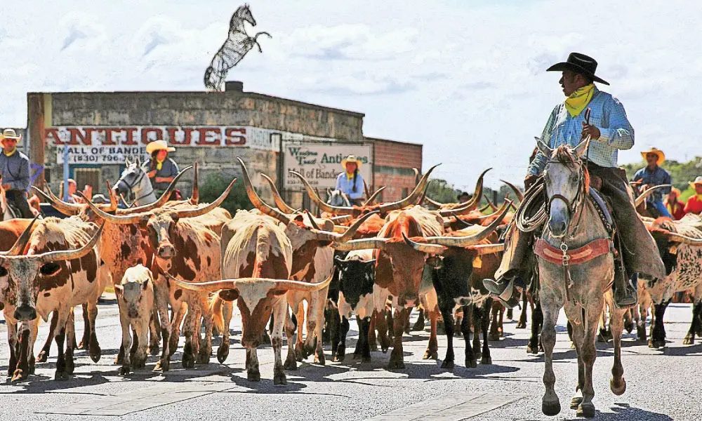 Fort Worth: Conheça a cidade no Texas que respira a cultura da 'Capital Mundial do Gado