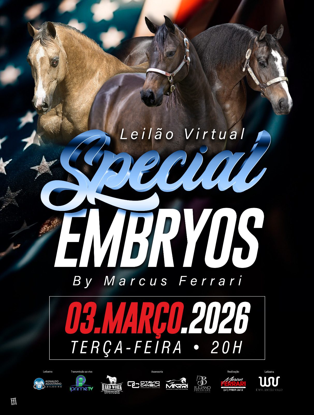 Marcado para 3 de março de 2026, o Leilão Virtual Special Embryos reúne embriões efetivados de matrizes consagradas com alguns dos maiores garanhões da história da Rédeas mundial, em um projeto que aposta em cruzamentos de elite e planejamento genético de alto padrão.