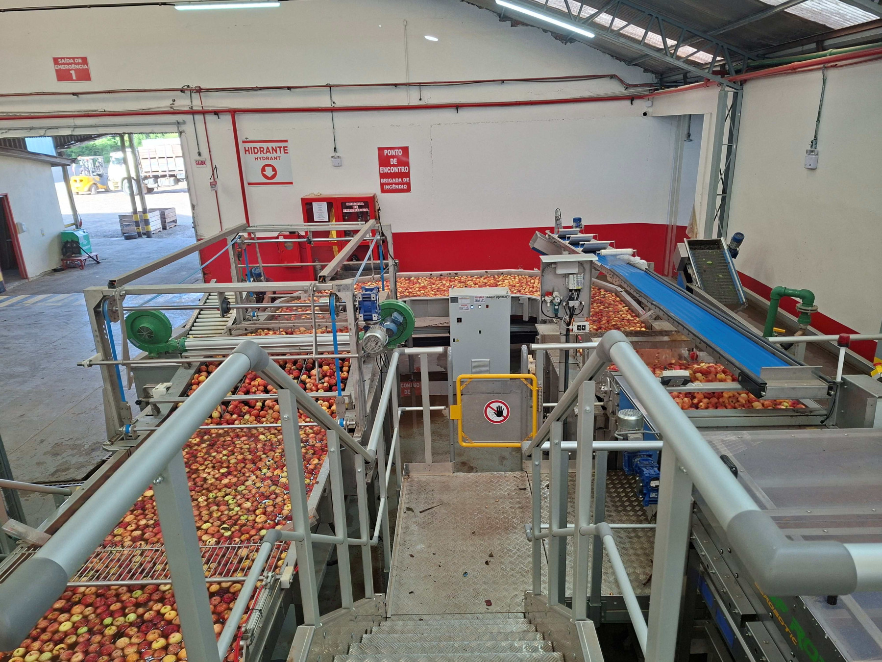 Santa Catarina agora pode exportar maçã diretamente pelos portos catarinense