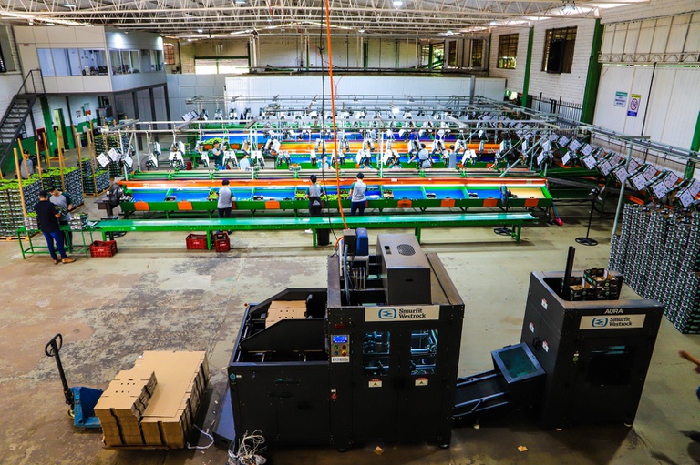 Missão internacional avança na abertura do mercado cubano para frutas brasileiras