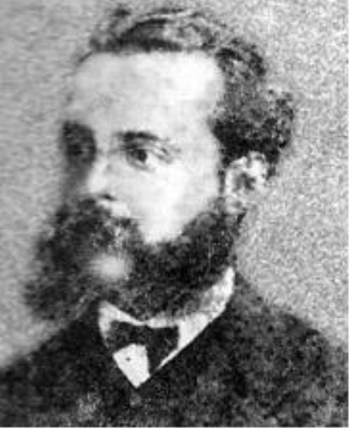 híbrido de zebra com égua