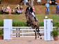 Cavalo Lusitano promove sua 44ª Expo Internacional