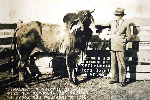 Getúlio Vargas com o Himalaia