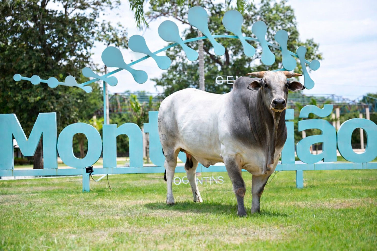 Inédito: Monte Sião Genética marca presença na Convenção Mundial das Assembleias de Deus Ministério de Madureira